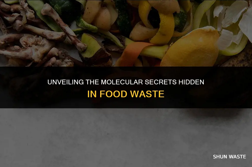 what molecules are in food waste