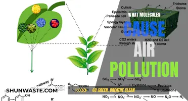 Unveiling the Molecular Culprits: Air Pollution's Hidden Causes