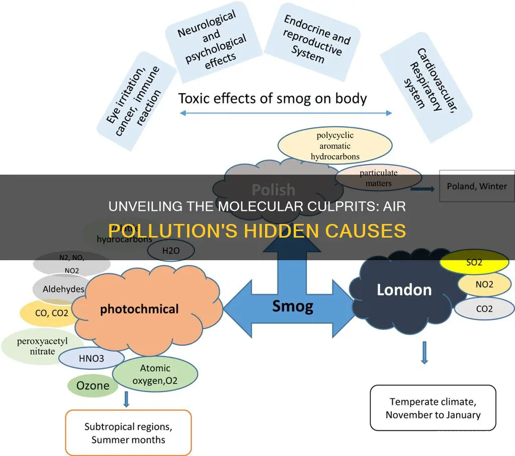 what molecules cause air pollution