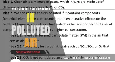 Air Pollution: Uncovering Harmful Airborne Molecules