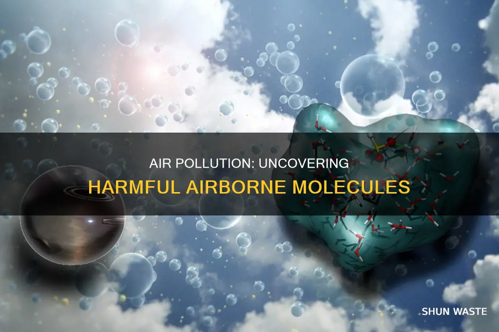 what molecules would you find in polluted air
