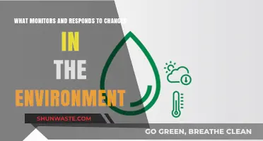 Environmental Sensors: Detecting and Reacting to Ecosystem Changes in Real-Time