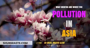 Asia's Pollution Peaks: Months to Watch Out For