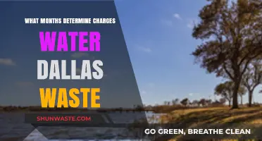 Dallas Water Waste Charges: Understanding Monthly Billing Cycles
