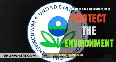Governments' Role in Environmental Protection: Strategies for a Sustainable Future