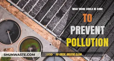 Preventing Pollution: What More Can We Do?