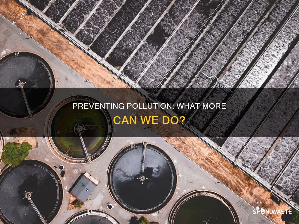 what more could be done to prevent pollution