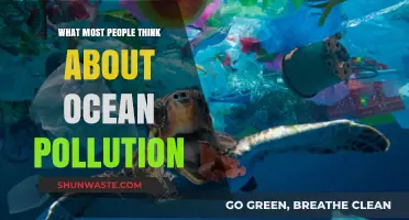 The Ocean Pollution Myth: What People Believe