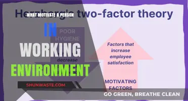 Unleashing Potential: Key Factors Driving Motivation in the Workplace
