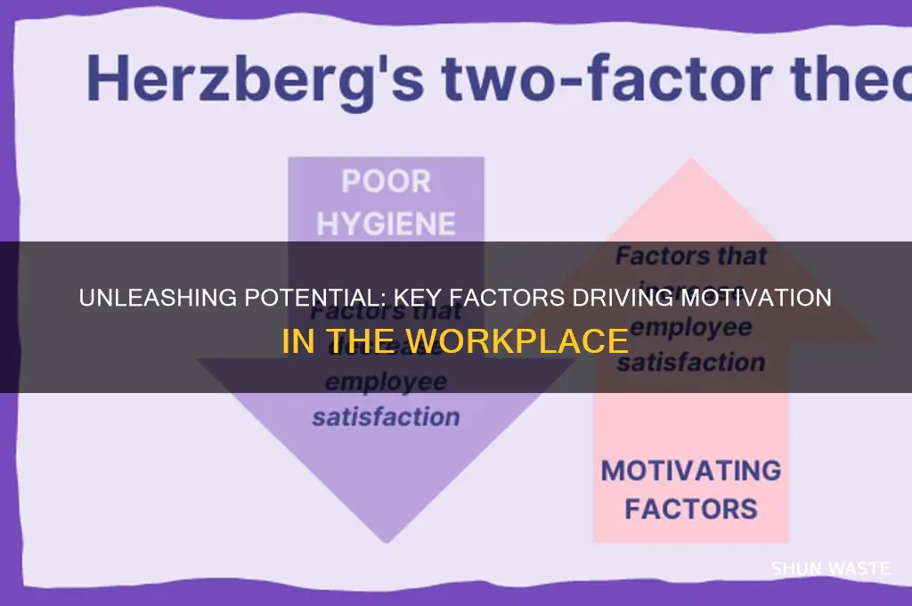 what motivate a person in working environment