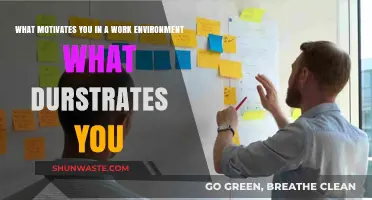 Workplace Motivation and Frustration: Uncovering What Drives and Drains Us