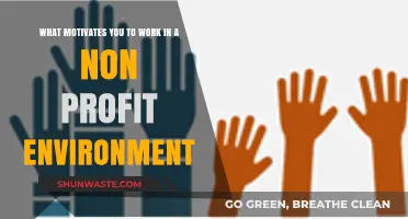 Purpose Over Profit: Finding Motivation in Nonprofit Work