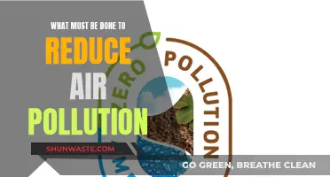 Steps to Reduce Air Pollution and Breathe Easy