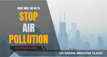 Air Pollution: Actionable Steps for a Cleaner Tomorrow