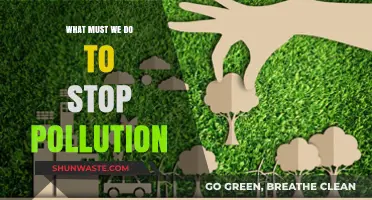 Preventing Pollution: Our Role and Responsibility