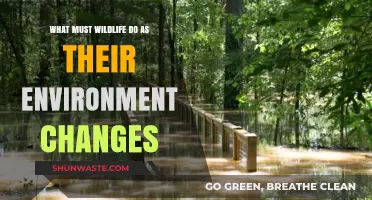 Adapting to Survive: Wildlife Strategies in a Changing Environment