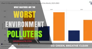 Who Pollutes the Most? Worst Environmental Offenders Revealed
