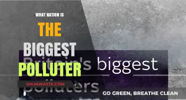Who's the Biggest Polluter? China's the Culprit