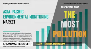 Which Countries Pollute the Most?