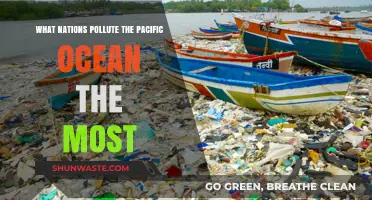 Who Pollutes the Pacific? Nations Ranked