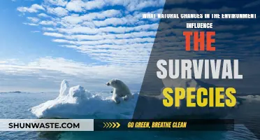 Environmental Shifts: How Nature's Changes Impact Species Survival