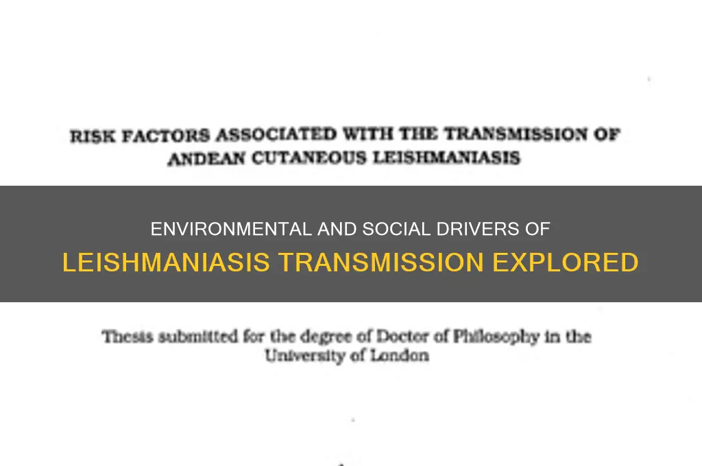 what natural environment and social factors that affects leishmaniasis spread
