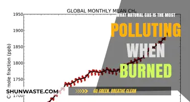 Which Natural Gas Is the Most Polluting When Ignited?