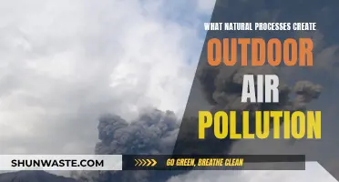 Outdoor Air Pollution: Nature's Unseen Impact