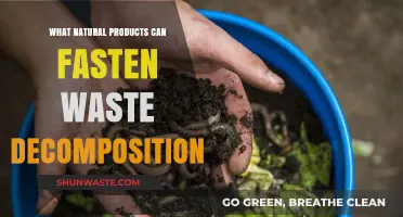 Accelerating Waste Decomposition: The Power of Natural Products