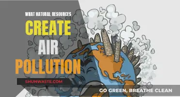 Air Pollution: Natural Resources and Their Impact