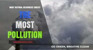 Natural Resources: Pollution's Unseen Sources