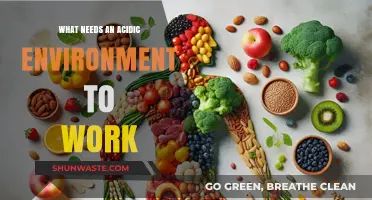 Acidic Environments: Essential Conditions for Specific Processes to Function