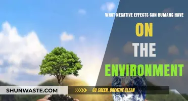 Human Impact: Devastating Environmental Consequences of Our Actions Explored