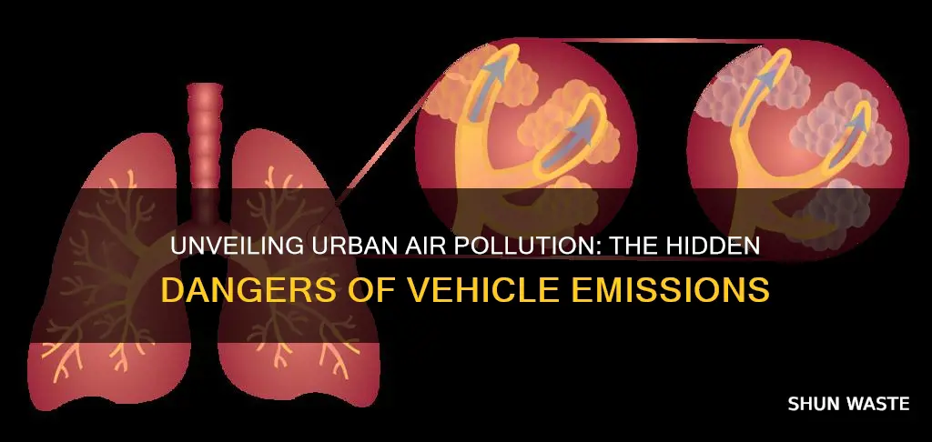 what negative effects do pollutants from vehicles cause in cities