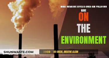 Air Pollution: Damaging Our Planet and Health