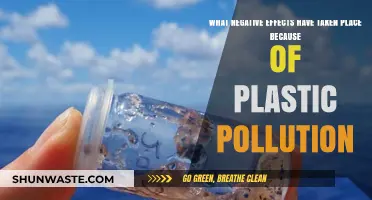 Plastic Pollution's Devastating Impact on Our World