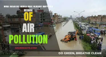Air Pollution's Harmful Effects: A Global Crisis