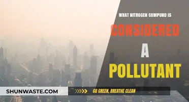 Nitrogen Pollution: What Compound Is Harmful?