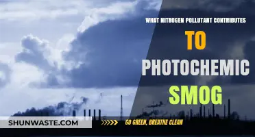Nitrogen's Dark Side: How It Fuels Photochemical Smog