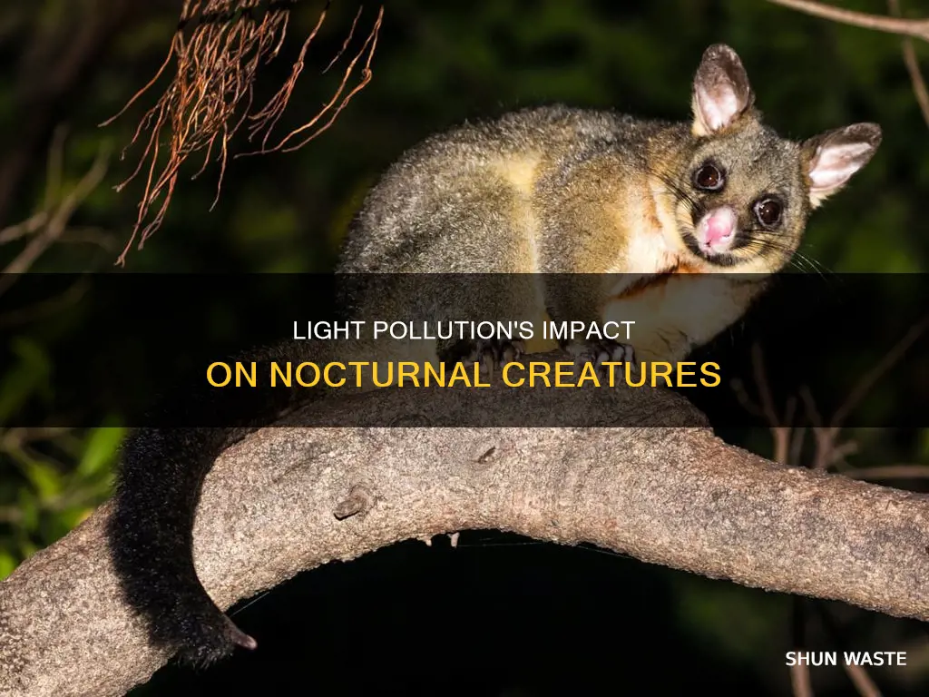 what nocturnal animals are affected by light pollution