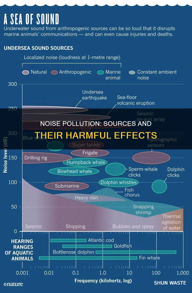 what noise pollution is and where it comes from