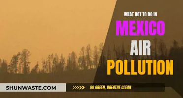 Avoid These Air Pollution Mistakes in Mexico