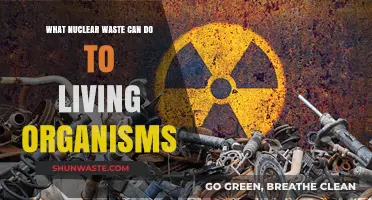 Unseen Peril: The Silent Threat of Nuclear Waste on Life