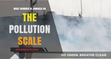 Pollution in Jamaica: How Bad Is It?