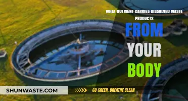 How Water Acts as a Vital Nutrient to Flush Body Waste