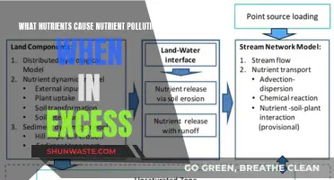 Excess Nutrients: The Hidden Cause of Waterway Pollution