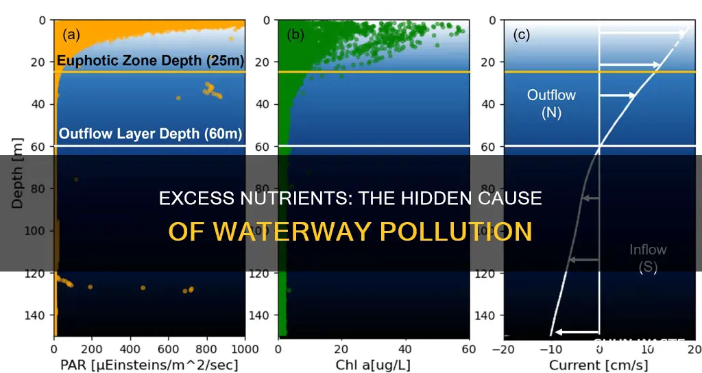 what nutrients cause nutrient pollution when in excess