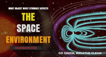 How the Sun Dominates and Shapes Our Space Environment