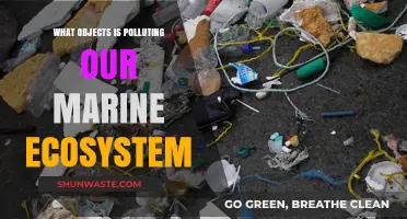 Marine Pollution: Objects Harming Our Oceans