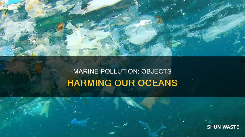 what objects is polluting our marine ecosystem